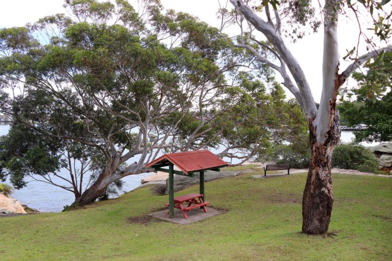 Howley Park