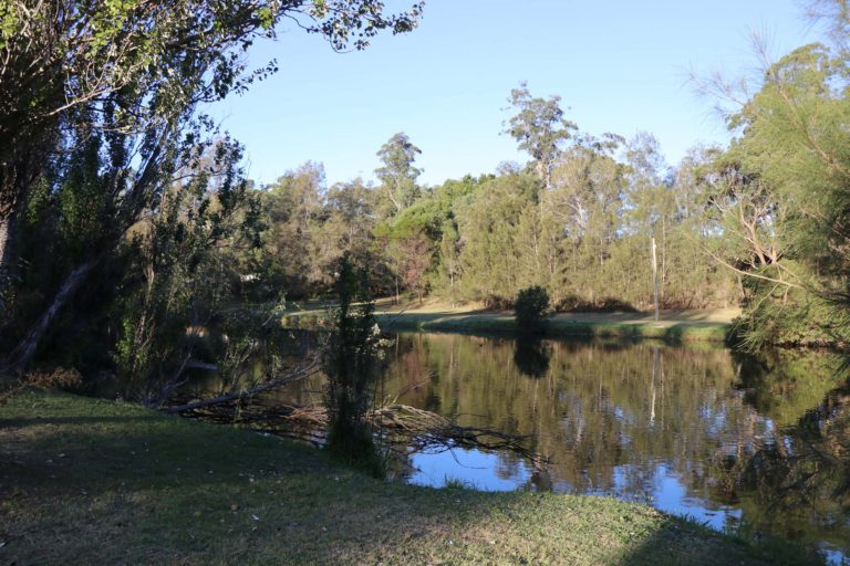 Little Coogee, Parramatta Park