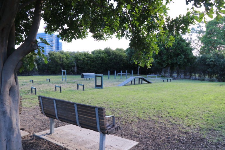 Allen Street Reserve