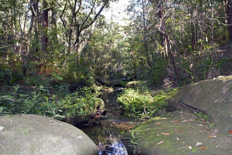 Bidjigal Reserve