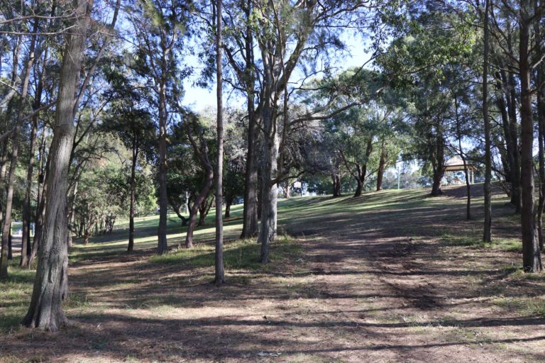 Gladesville Reserve
