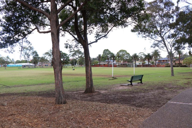 Henley Park