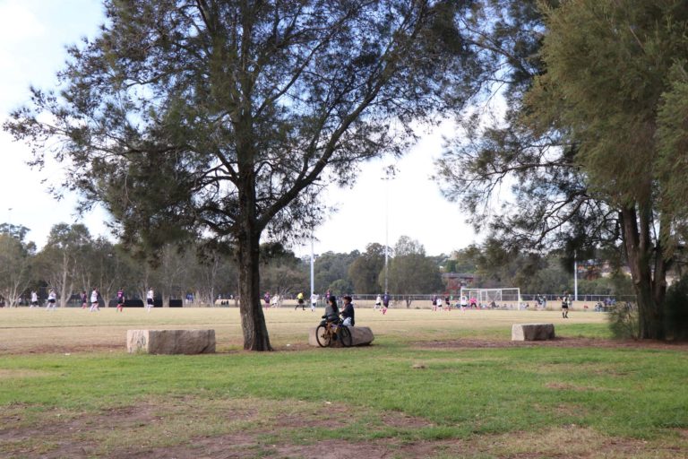 Meadowbank Park