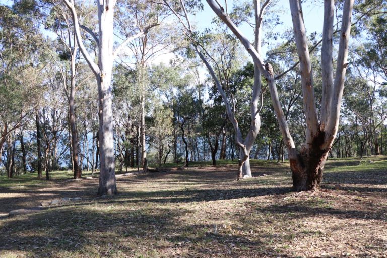 Memorial Park