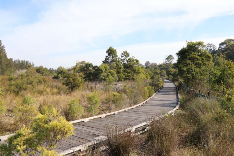 Millennium Parklands
