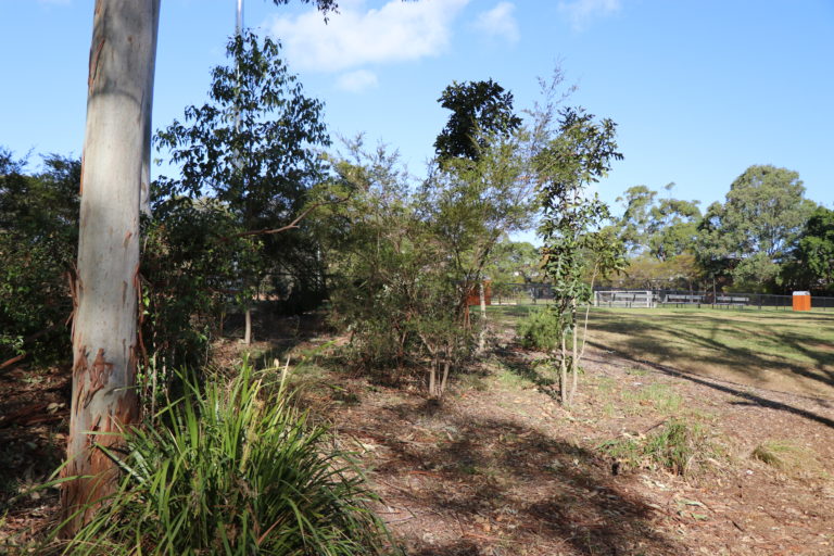 Strathfield Park