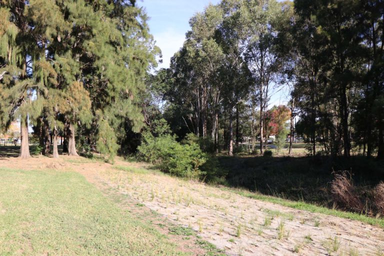 Twin Gums Reserve