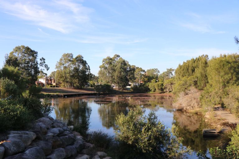 William Lawson Wetland