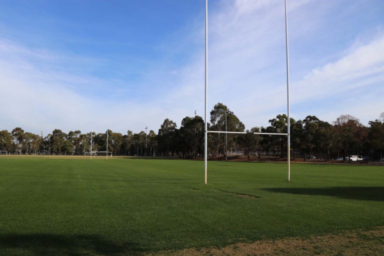 Wilson Park