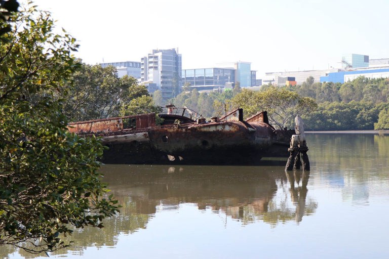 SS Ayrfield Shipwreck Lookout