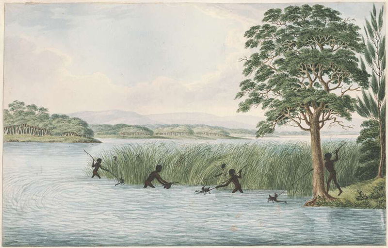 aboriginal-people-hunting-waterbirdedited