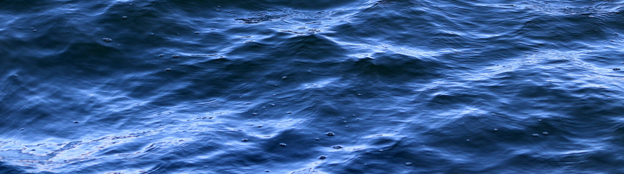 Our Masterplan sets out the steps needed to make the Parramatta River swimmable by 2025.